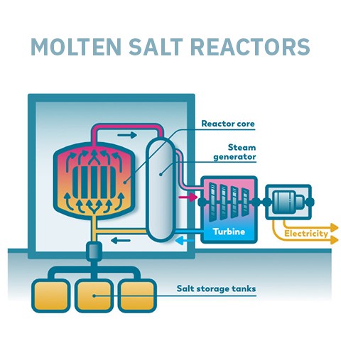 Molten Salt Reactor